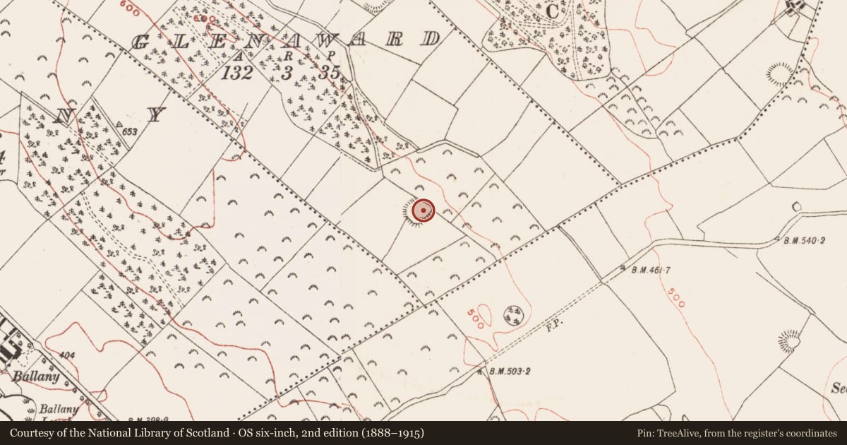 Ordnance Survey six-inch map, 2nd edition (1888–1915) covering the location of Ringfort - rath, Glenaward, County Meath, with a pin at the register's coordinates