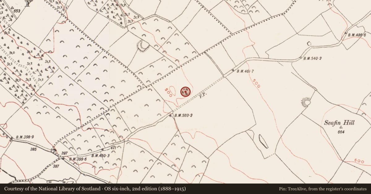 Ordnance Survey six-inch map, 2nd edition (1888–1915) covering the location of Enclosure, Ballinlough, County Meath, with a pin at the register's coordinates