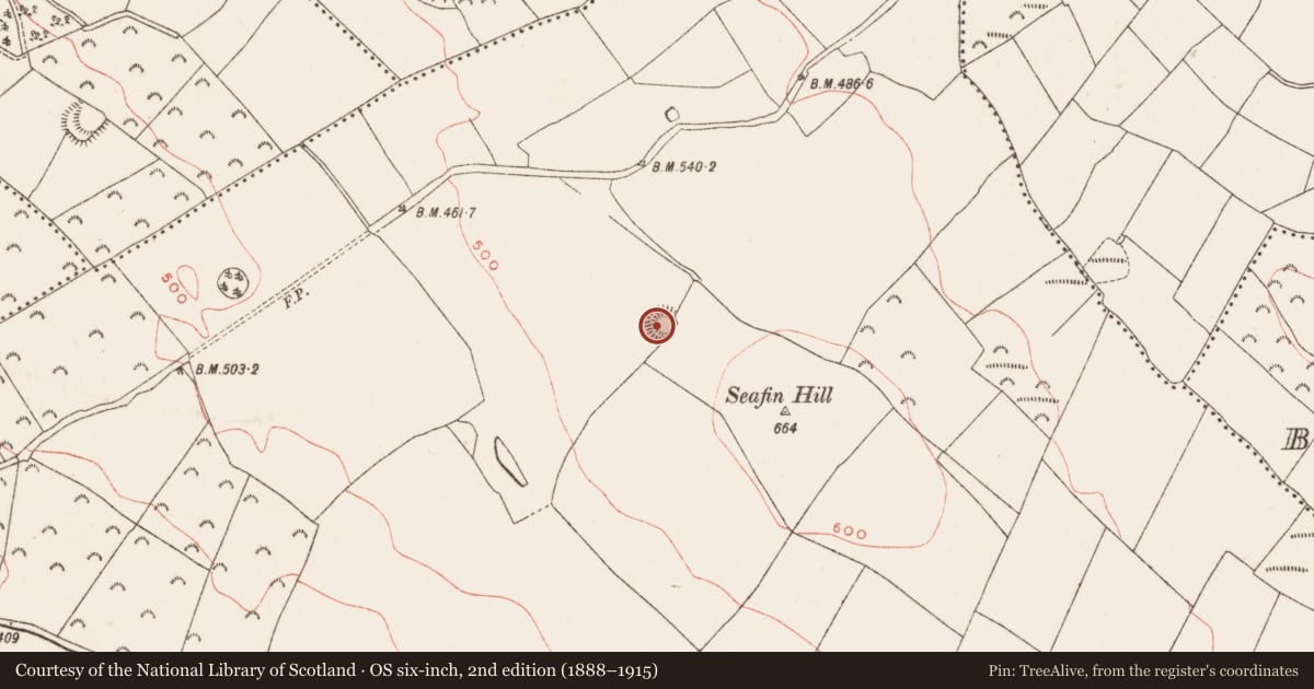 Ordnance Survey six-inch map, 2nd edition (1888–1915) covering the location of Ringfort - rath, Ballinlough, County Meath, with a pin at the register's coordinates