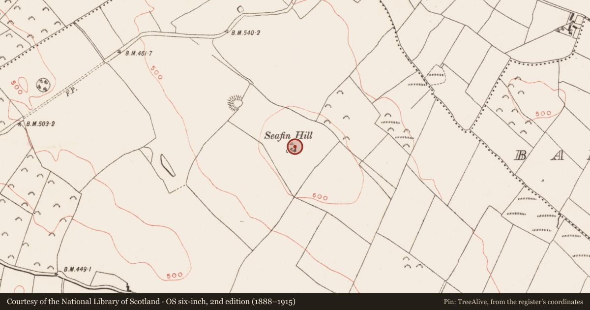 Ordnance Survey six-inch map, 2nd edition (1888–1915) covering the location of Ringfort - rath, Ballinlough, County Meath, with a pin at the register's coordinates