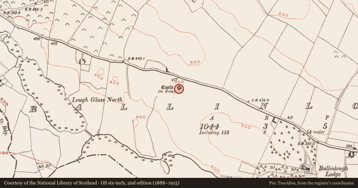 Ordnance Survey six-inch map, 2nd edition (1888–1915) covering the location of Castle - tower house, Ballinlough, County Meath, with a pin at the register's coordinates
