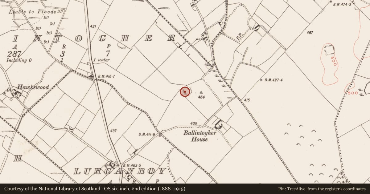 Ordnance Survey six-inch map, 2nd edition (1888–1915) covering the location of Ringfort - rath, Ballintogher, County Meath, with a pin at the register's coordinates