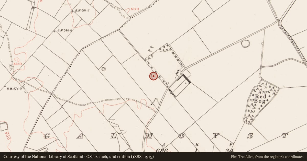 Ordnance Survey six-inch map, 2nd edition (1888–1915) covering the location of Ringfort - rath, Galmoystown, County Meath, with a pin at the register's coordinates