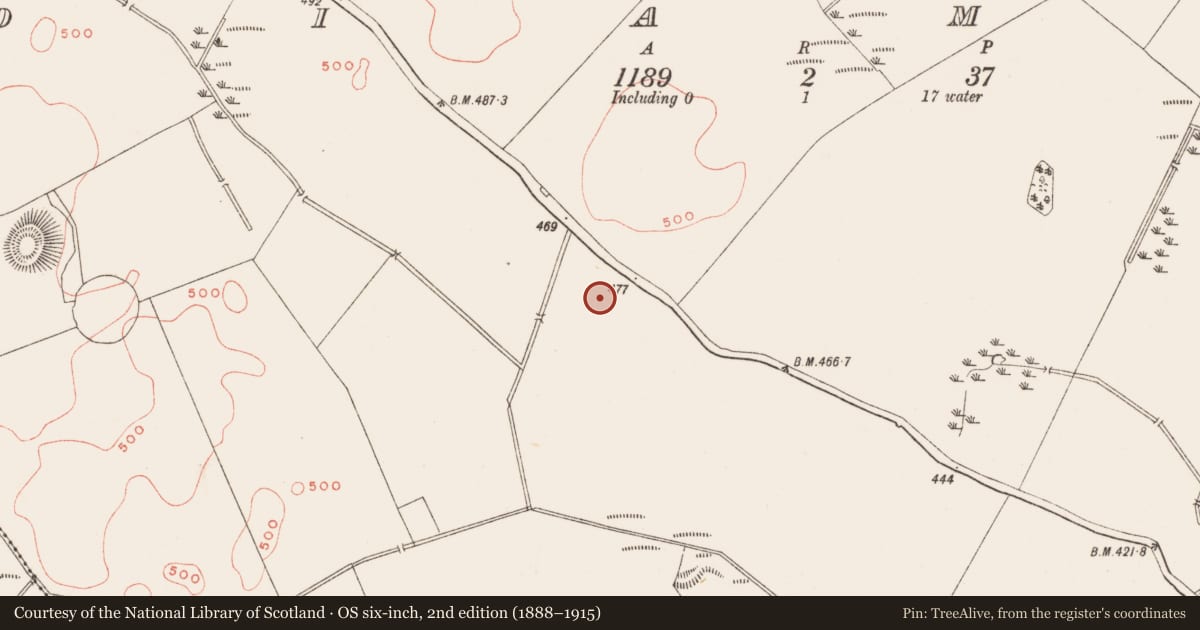 Ordnance Survey six-inch map, 2nd edition (1888–1915) covering the location of Church, Diamor, County Meath, with a pin at the register's coordinates