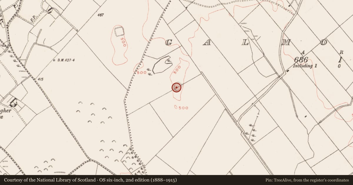 Ordnance Survey six-inch map, 2nd edition (1888–1915) covering the location of Hut site, Galmoystown, County Meath, with a pin at the register's coordinates