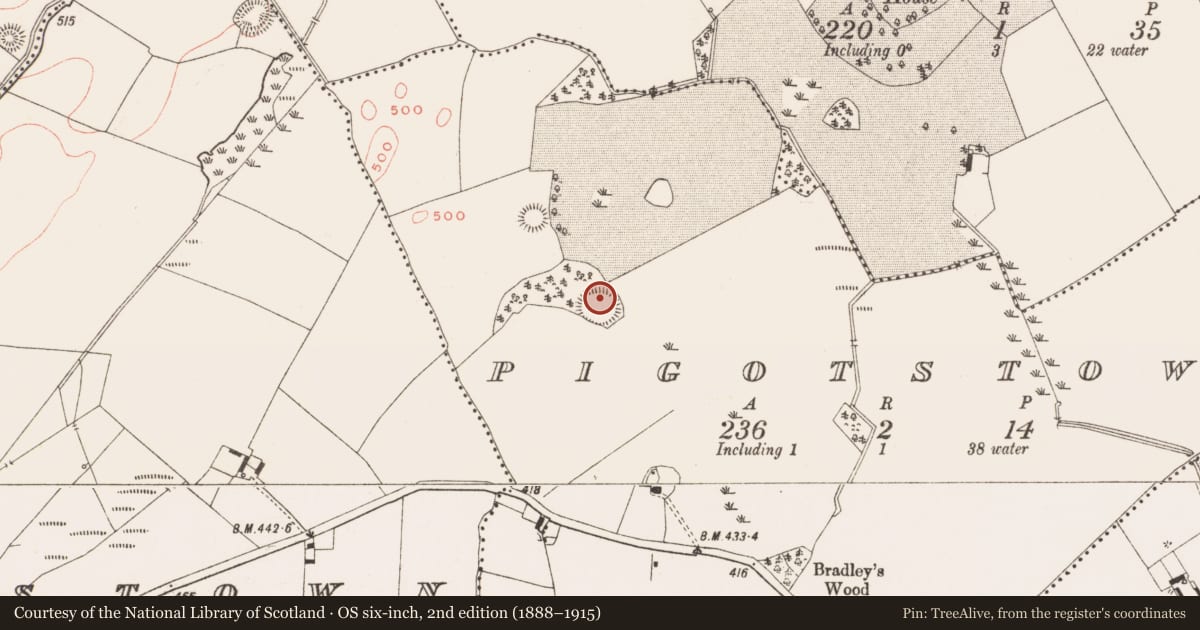 Ordnance Survey six-inch map, 2nd edition (1888–1915) covering the location of Souterrain, Pigotstown, County Meath, with a pin at the register's coordinates