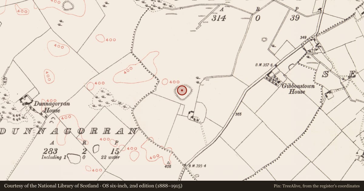 Ordnance Survey six-inch map, 2nd edition (1888–1915) covering the location of Ringfort - rath, Gibbonstown, County Meath, with a pin at the register's coordinates
