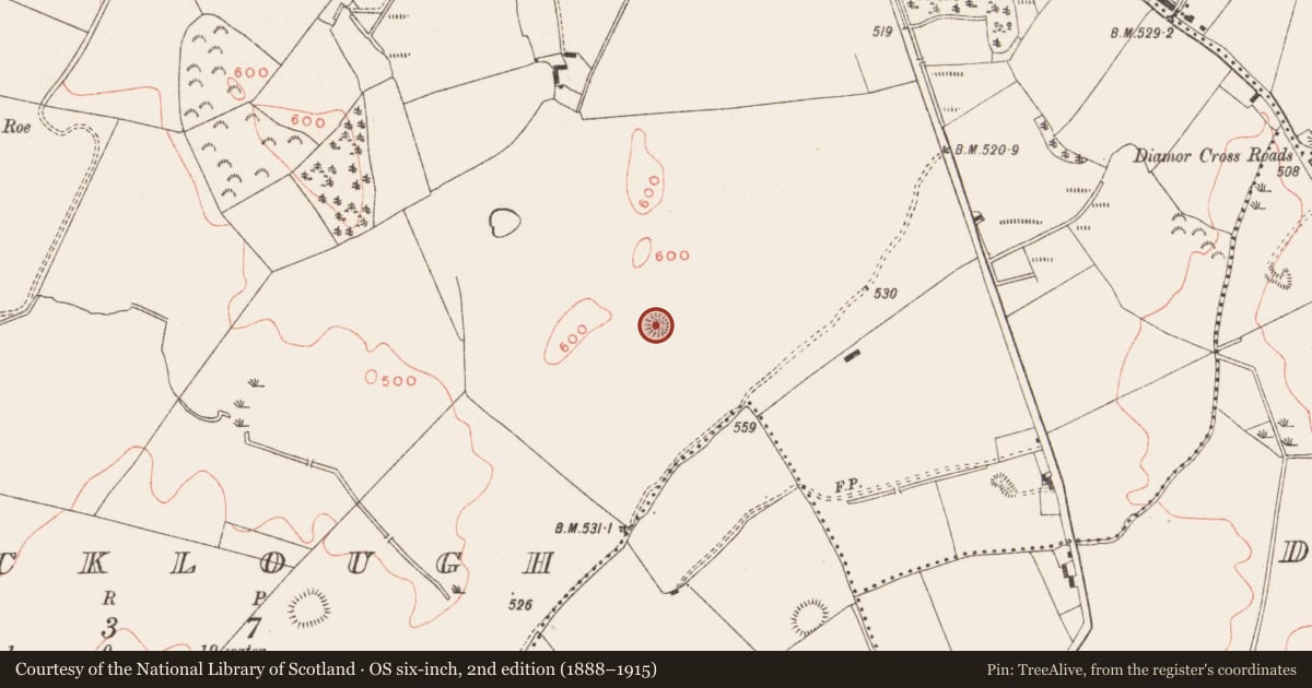 Ordnance Survey six-inch map, 2nd edition (1888–1915) covering the location of Barrow - ring-barrow, Knocklough, County Meath, with a pin at the register's coordinates