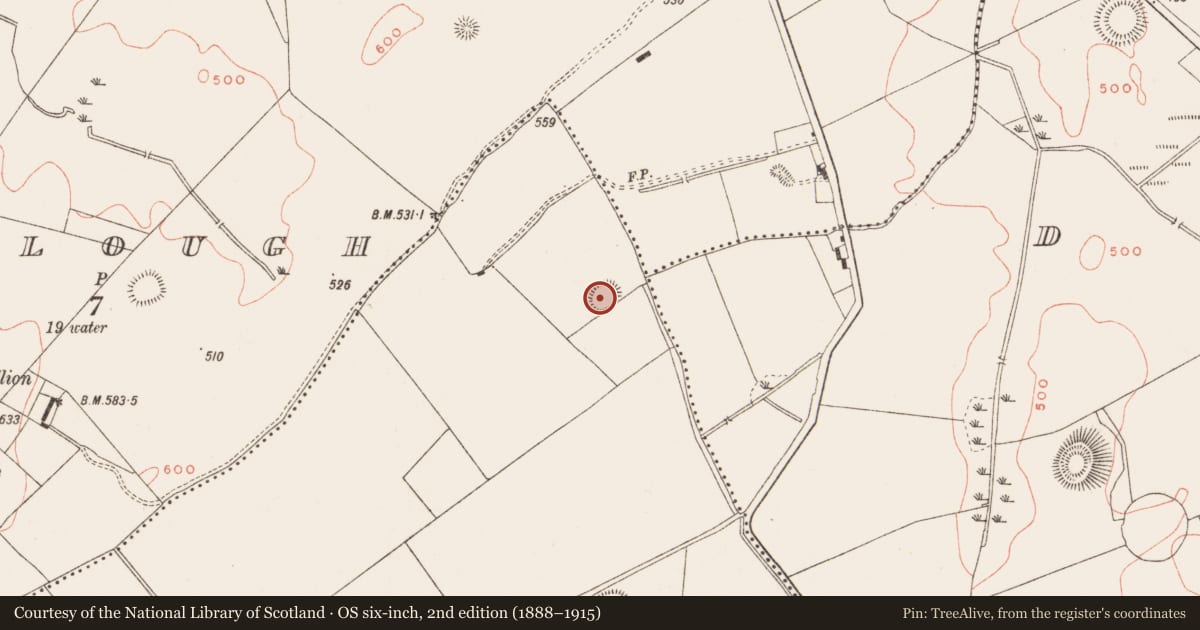 Ordnance Survey six-inch map, 2nd edition (1888–1915) covering the location of Ringfort - rath, Galmoystown, County Meath, with a pin at the register's coordinates