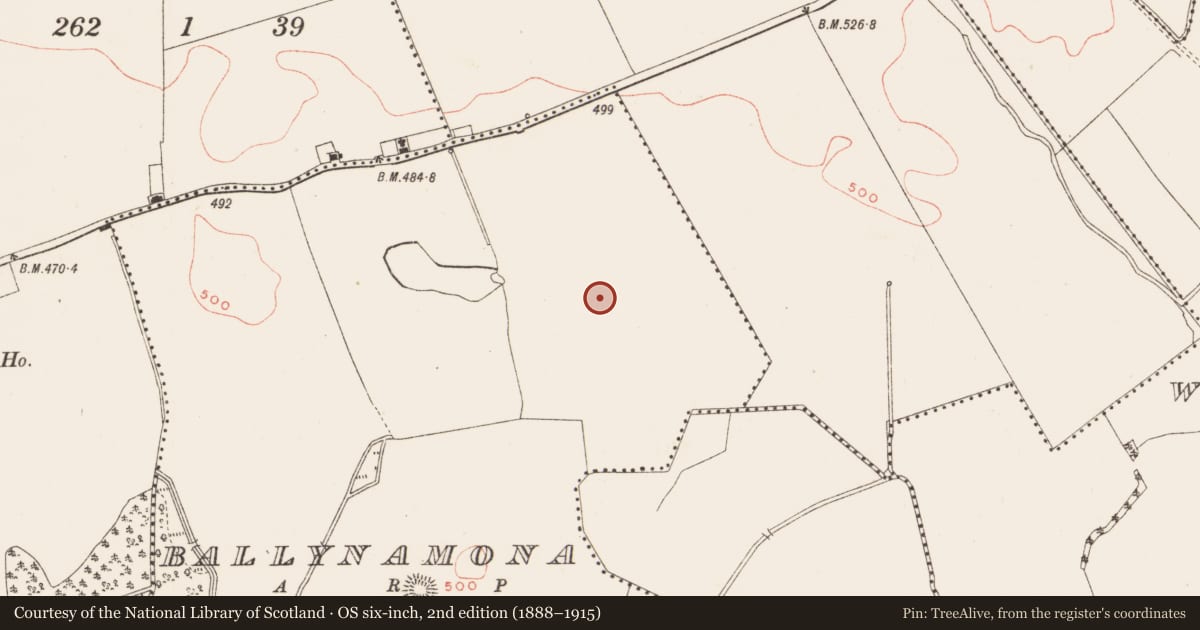 Ordnance Survey six-inch map, 2nd edition (1888–1915) covering the location of Standing stone, Ballynamona, County Meath, with a pin at the register's coordinates