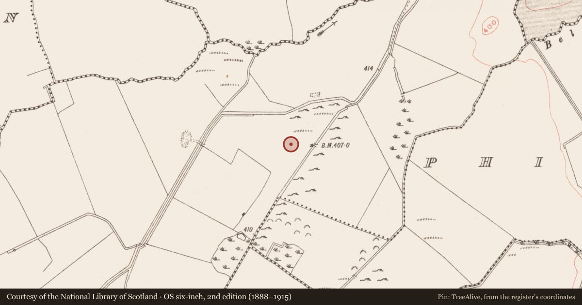 Ordnance Survey six-inch map, 2nd edition (1888–1915) covering the location of Megalithic tomb - passage tomb, Thomastown, County Meath, with a pin at the register's coordinates