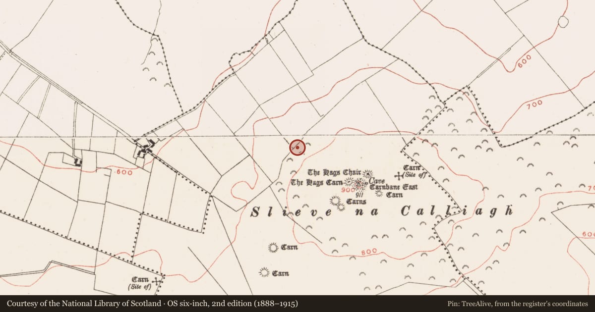 Ordnance Survey six-inch map, 2nd edition (1888–1915) covering the location of Rock art, Corstown, County Meath, with a pin at the register's coordinates