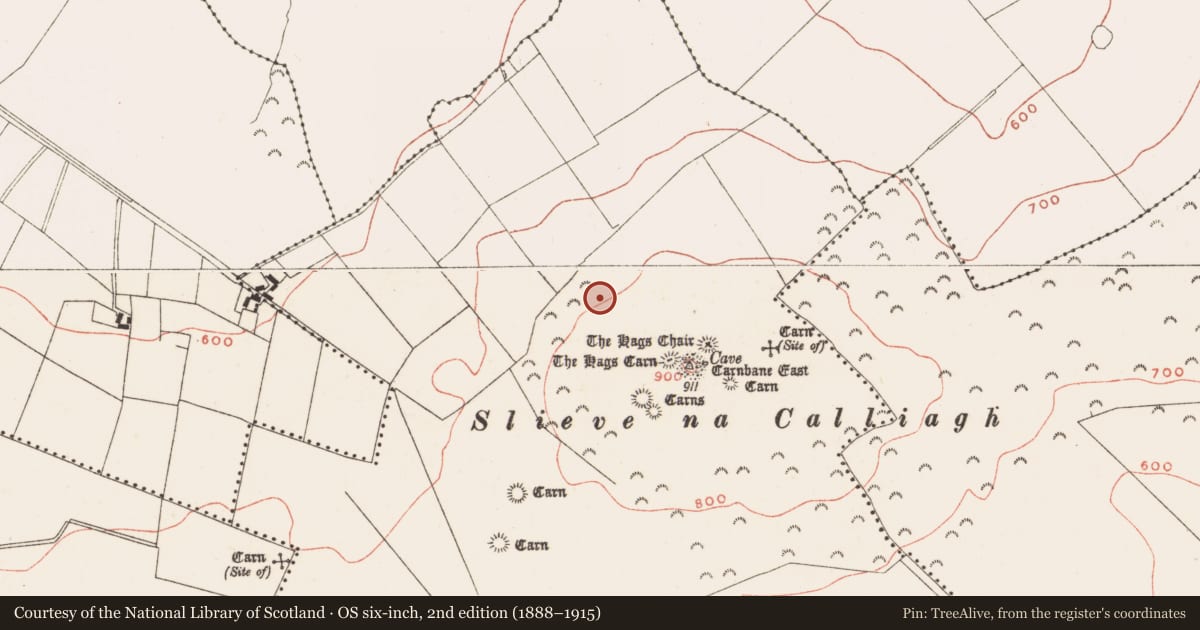 Ordnance Survey six-inch map, 2nd edition (1888–1915) covering the location of Rock art, Corstown, County Meath, with a pin at the register's coordinates