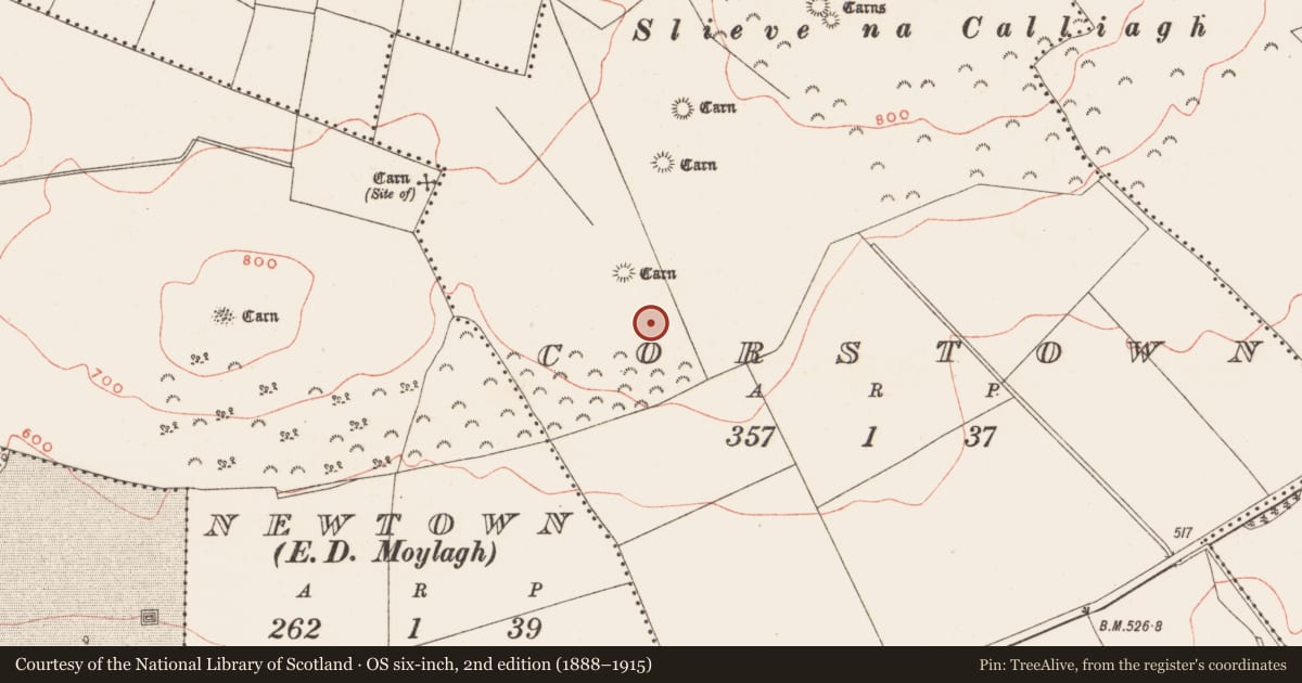 Ordnance Survey six-inch map, 2nd edition (1888–1915) covering the location of Rock art, Corstown, County Meath, with a pin at the register's coordinates