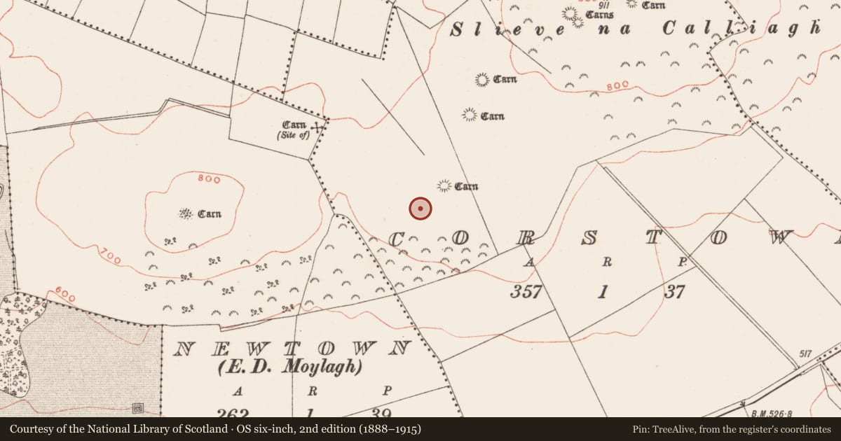 Ordnance Survey six-inch map, 2nd edition (1888–1915) covering the location of Rock art, Corstown, County Meath, with a pin at the register's coordinates
