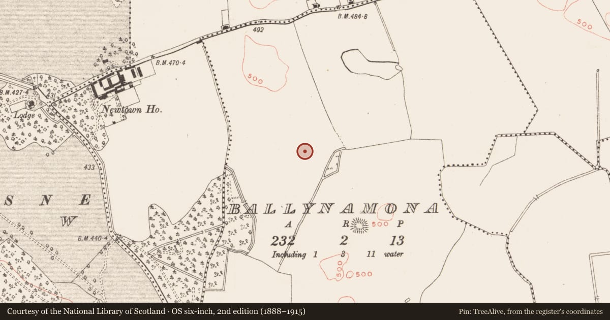 Ordnance Survey six-inch map, 2nd edition (1888–1915) covering the location of Ringfort - rath, Ballynamona, County Meath, with a pin at the register's coordinates