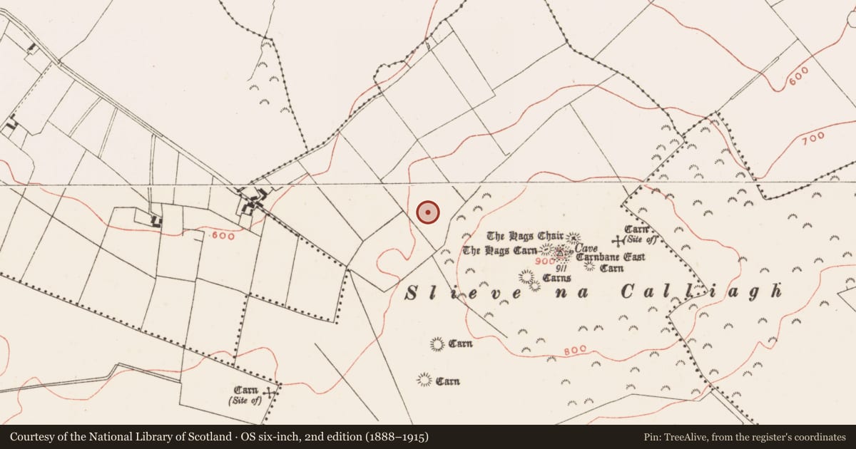 Ordnance Survey six-inch map, 2nd edition (1888–1915) covering the location of Standing stone, Corstown, County Meath, with a pin at the register's coordinates