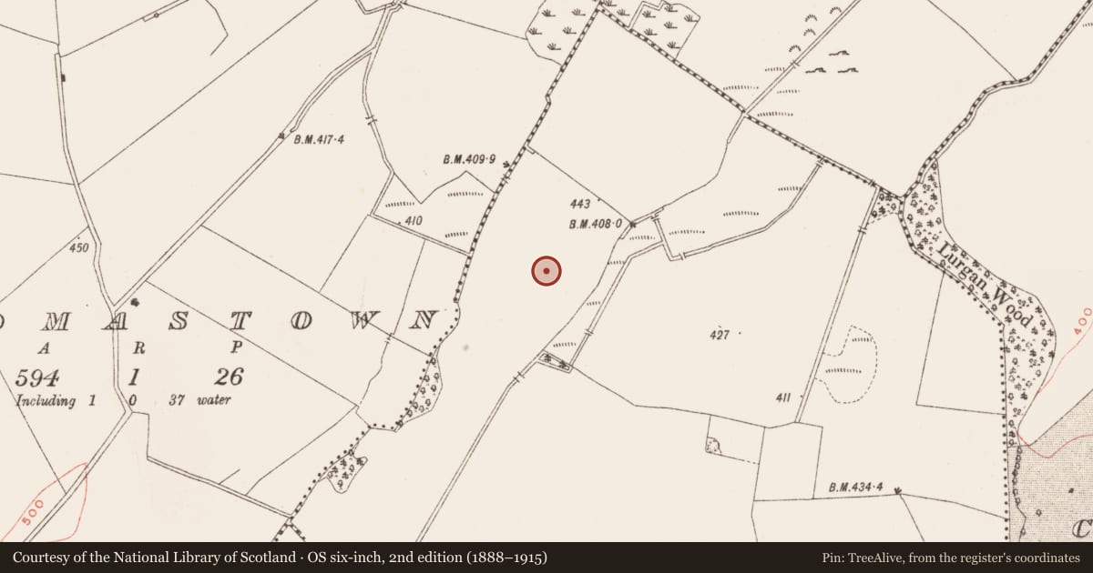 Ordnance Survey six-inch map, 2nd edition (1888–1915) covering the location of Enclosure, Bobsville, County Meath, with a pin at the register's coordinates