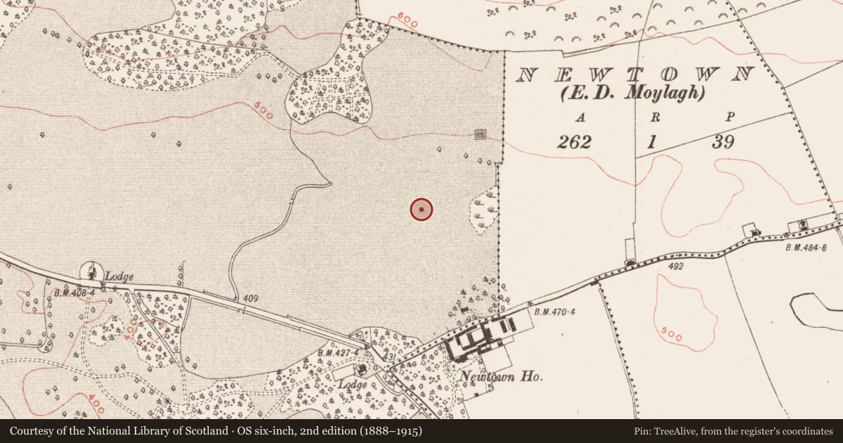 Ordnance Survey six-inch map, 2nd edition (1888–1915) covering the location of Enclosure, Loughcrew, County Meath, with a pin at the register's coordinates