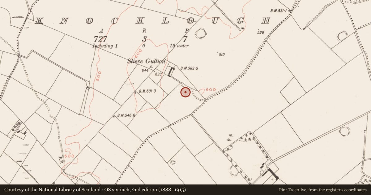 Ordnance Survey six-inch map, 2nd edition (1888–1915) covering the location of Enclosure, Knocklough, County Meath, with a pin at the register's coordinates