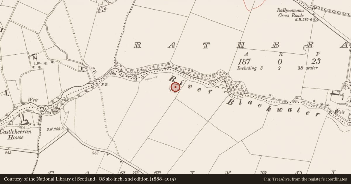 Ordnance Survey six-inch map, 2nd edition (1888–1915) covering the location of Ringfort - rath, Castlepole, County Meath, with a pin at the register's coordinates