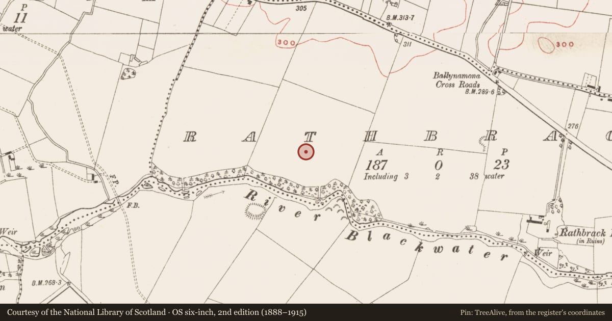 Ordnance Survey six-inch map, 2nd edition (1888–1915) covering the location of Enclosure, Rathbrack (Kells Upper By., Dulane Par.), County Meath, with a pin at the register's coordinates