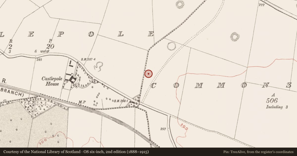 Ordnance Survey six-inch map, 2nd edition (1888–1915) covering the location of Barrow - mound barrow, Commons of Lloyd, County Meath, with a pin at the register's coordinates