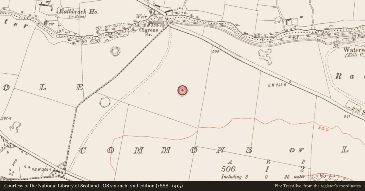 Ordnance Survey six-inch map, 2nd edition (1888–1915) covering the location of Ringfort - rath, Commons of Lloyd, County Meath, with a pin at the register's coordinates