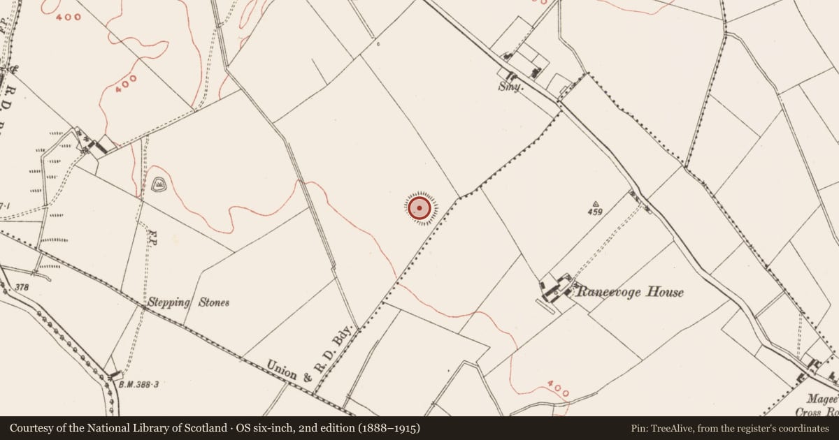 Ordnance Survey six-inch map, 2nd edition (1888–1915) covering the location of Ringfort - rath, Smithstown, County Meath, with a pin at the register's coordinates