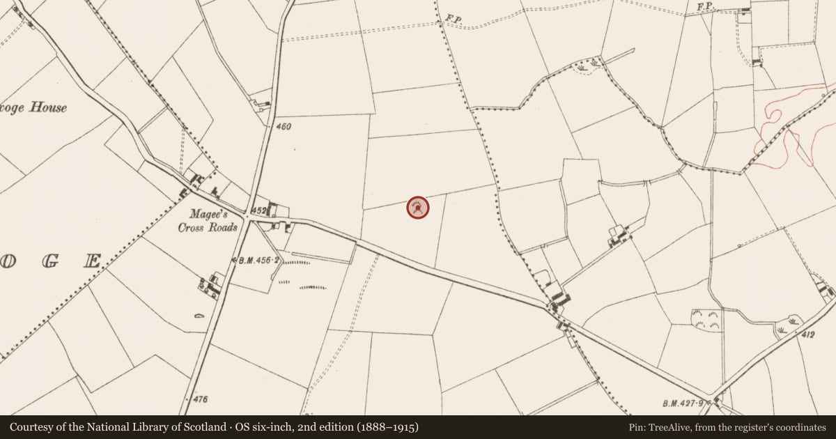 Ordnance Survey six-inch map, 2nd edition (1888–1915) covering the location of Barrow - ring-barrow, Crossakeel, County Meath, with a pin at the register's coordinates