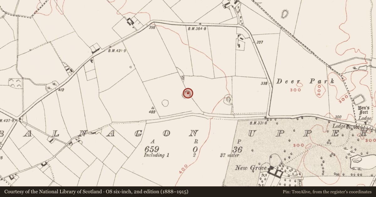 Ordnance Survey six-inch map, 2nd edition (1888–1915) covering the location of Ringfort - rath, Balnagon Upper, County Meath, with a pin at the register's coordinates