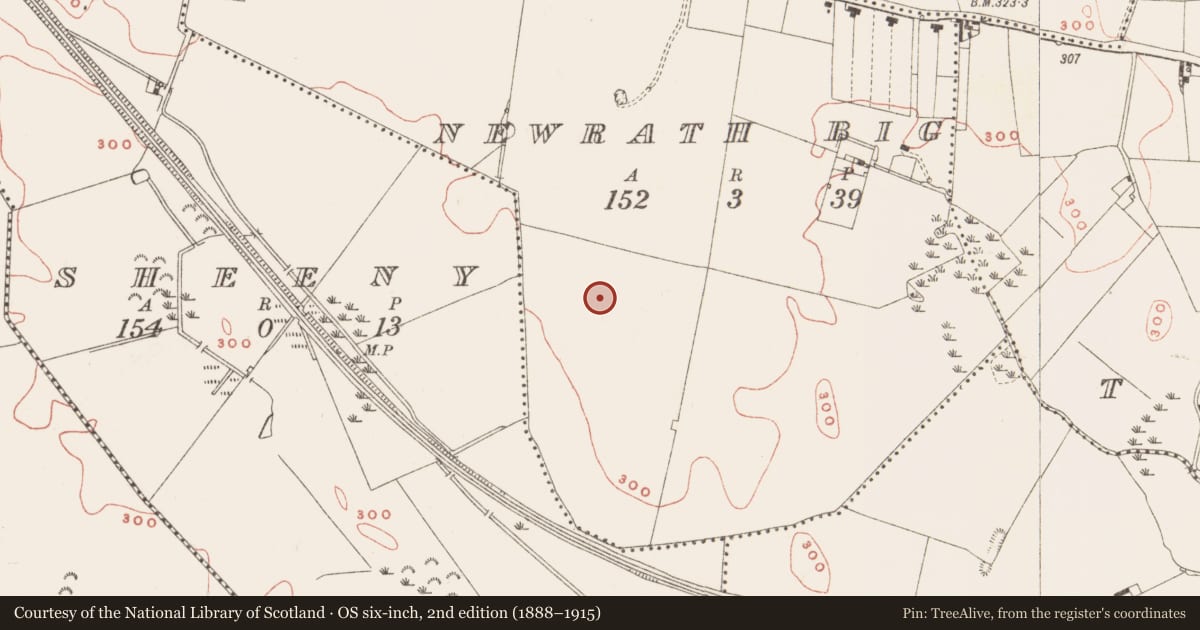 Ordnance Survey six-inch map, 2nd edition (1888–1915) covering the location of Ringfort - rath, Newrath Big, County Meath, with a pin at the register's coordinates