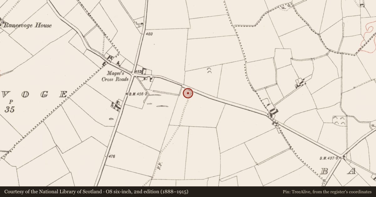 Ordnance Survey six-inch map, 2nd edition (1888–1915) covering the location of Cist, Crossakeel, County Meath, with a pin at the register's coordinates