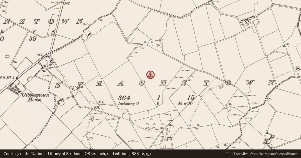 Ordnance Survey six-inch map, 2nd edition (1888–1915) covering the location of Ringfort - rath, Seraghstown, County Meath, with a pin at the register's coordinates