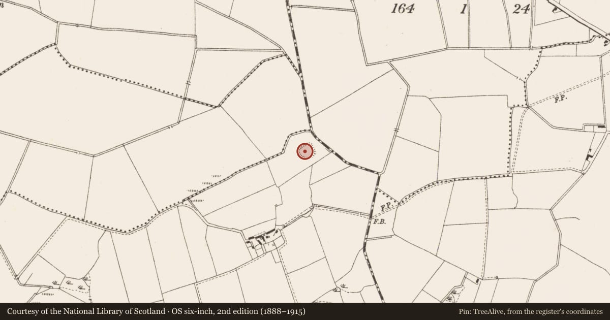 Ordnance Survey six-inch map, 2nd edition (1888–1915) covering the location of Ringfort - rath, Seraghstown, County Meath, with a pin at the register's coordinates