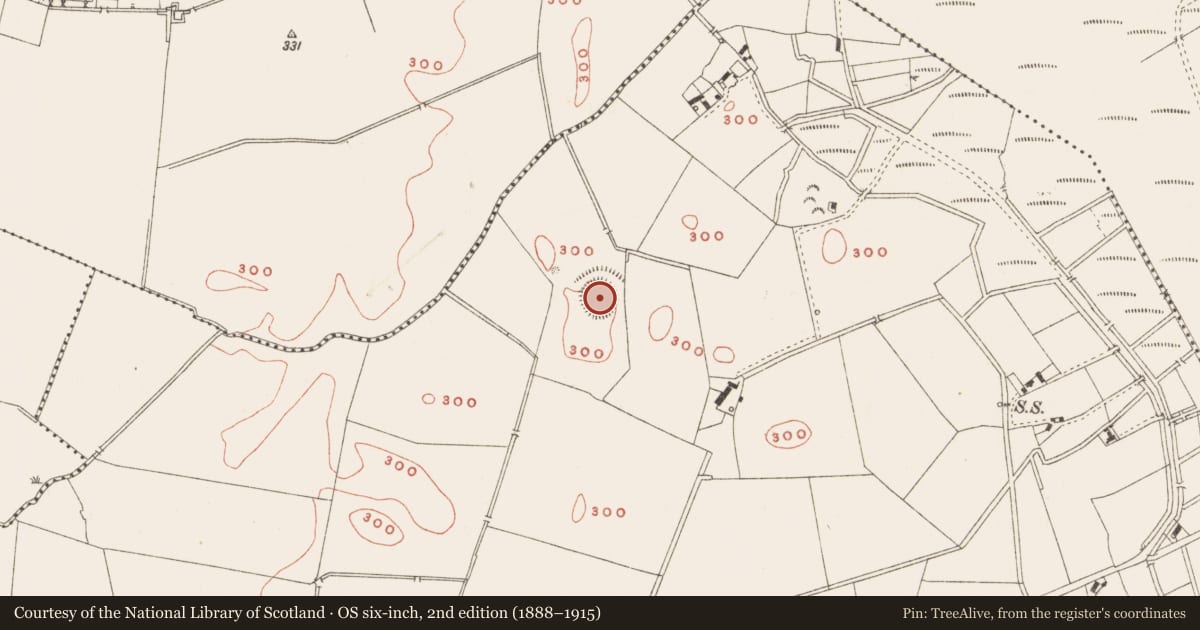 Ordnance Survey six-inch map, 2nd edition (1888–1915) covering the location of Ringfort - rath, Robinstown, County Meath, with a pin at the register's coordinates