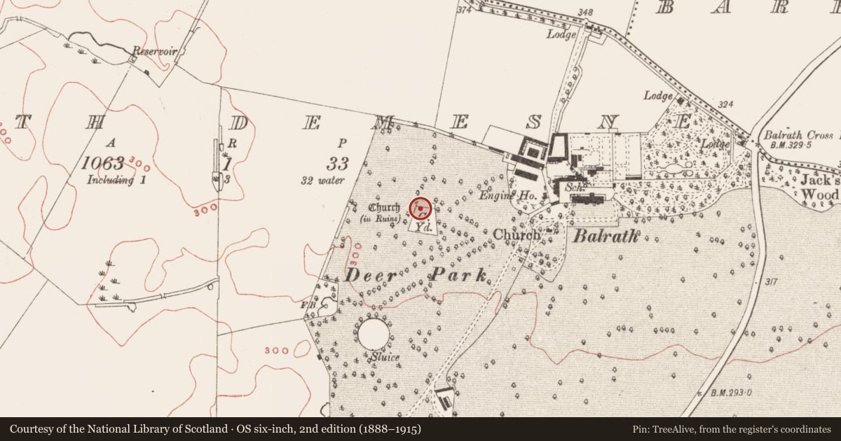 Ordnance Survey six-inch map, 2nd edition (1888–1915) covering the location of Church, Balrath Demesne, County Meath, with a pin at the register's coordinates