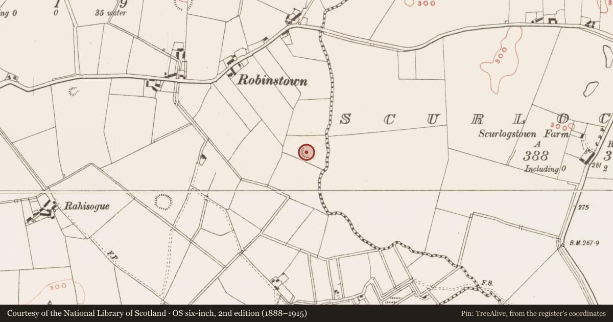 Ordnance Survey six-inch map, 2nd edition (1888–1915) covering the location of Ringfort - rath, Robinstown, County Meath, with a pin at the register's coordinates