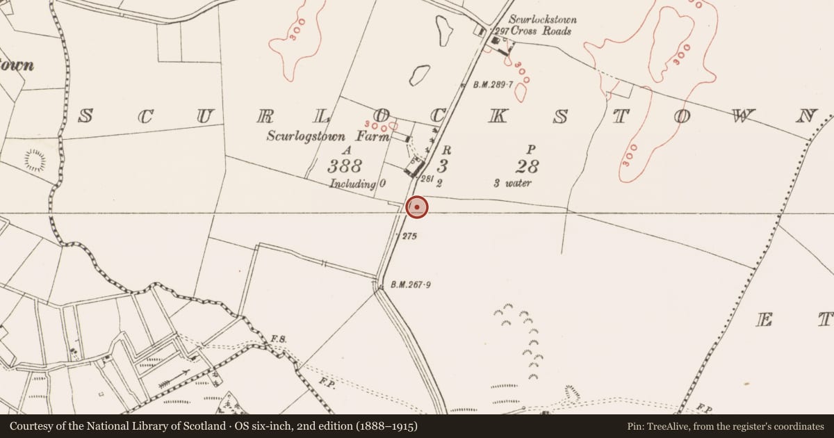 Ordnance Survey six-inch map, 2nd edition (1888–1915) covering the location of Souterrain, Scurlockstown, County Meath, with a pin at the register's coordinates