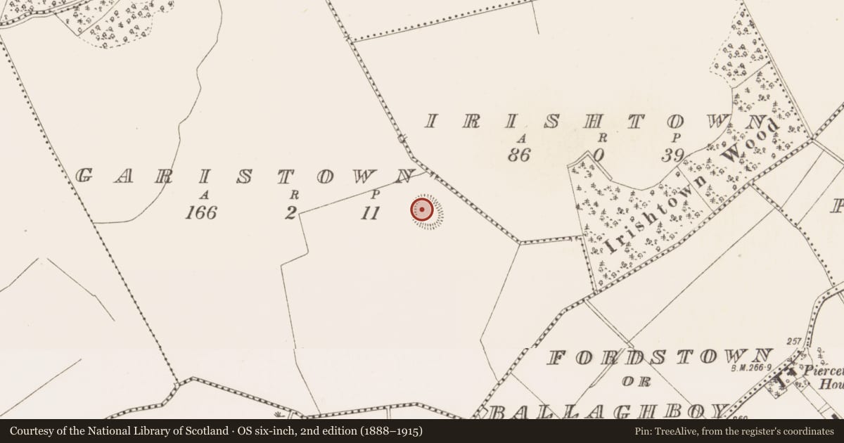 Ordnance Survey six-inch map, 2nd edition (1888–1915) covering the location of Ringfort - rath, Garistown, County Meath, with a pin at the register's coordinates