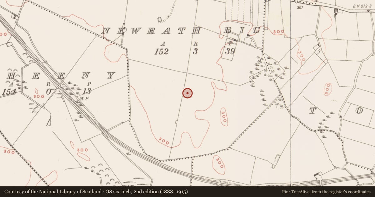 Ordnance Survey six-inch map, 2nd edition (1888–1915) covering the location of Souterrain, Newrath Big, County Meath, with a pin at the register's coordinates