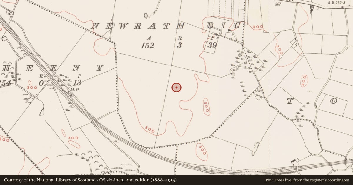 Ordnance Survey six-inch map, 2nd edition (1888–1915) covering the location of Ringfort - rath, Newrath Big, County Meath, with a pin at the register's coordinates