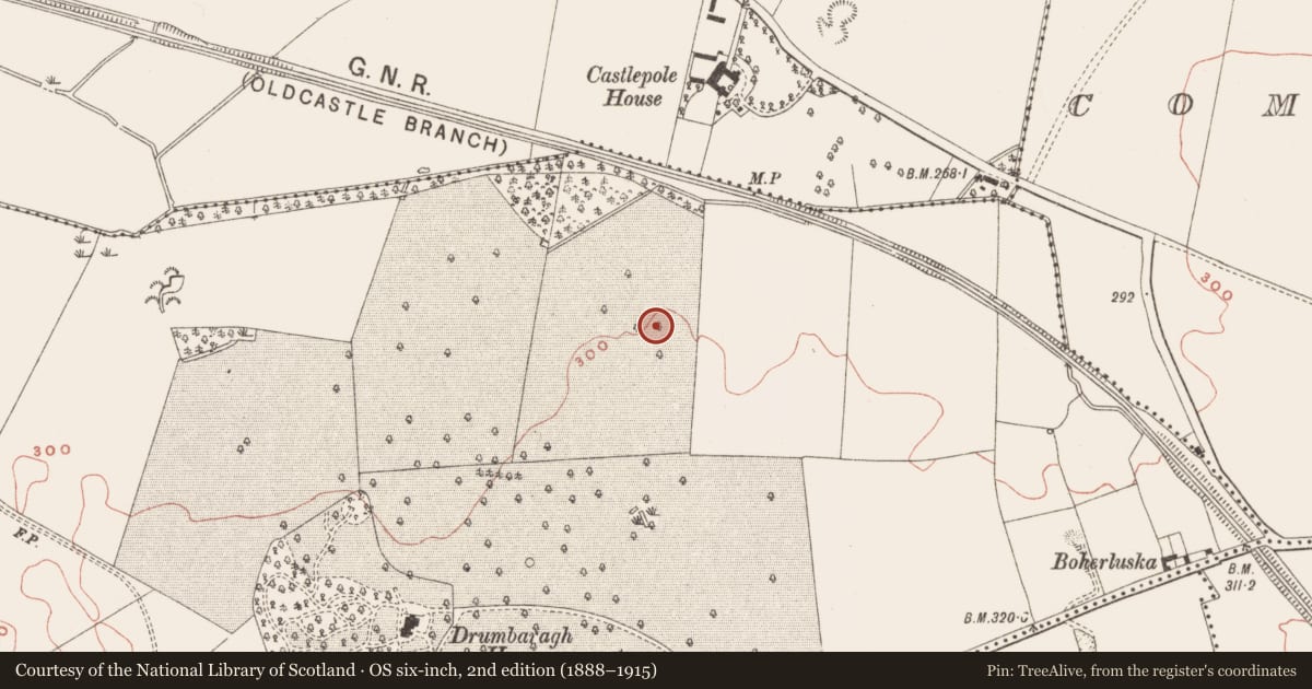 Ordnance Survey six-inch map, 2nd edition (1888–1915) covering the location of Enclosure - large enclosure, Drumbaragh, County Meath, with a pin at the register's coordinates