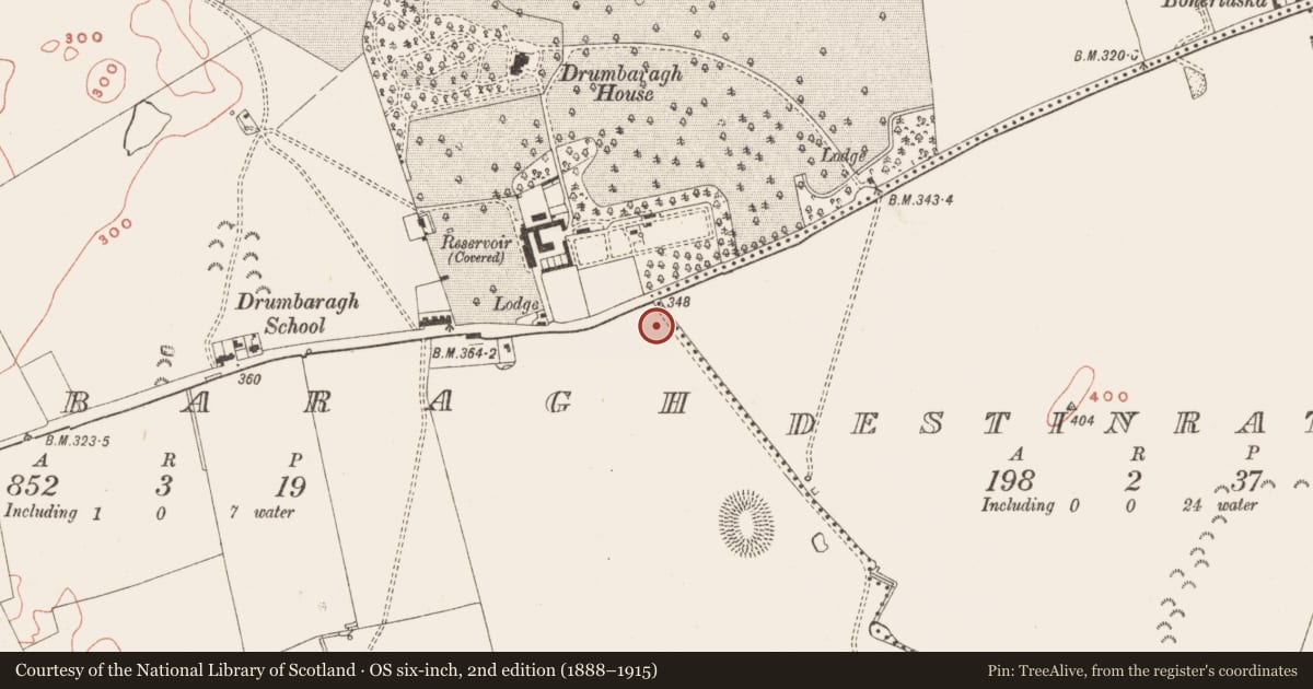 Ordnance Survey six-inch map, 2nd edition (1888–1915) covering the location of Slab-lined burial, Drumbaragh, County Meath, with a pin at the register's coordinates