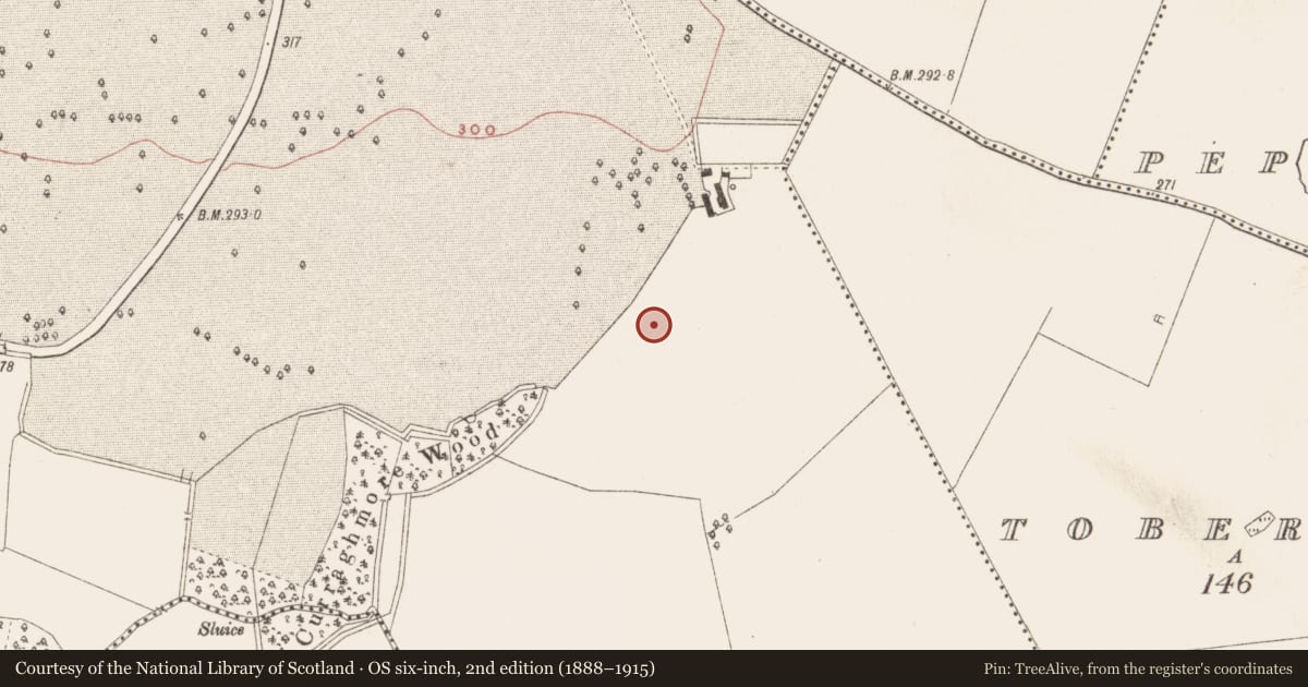Ordnance Survey six-inch map, 2nd edition (1888–1915) covering the location of Road - road/trackway, Balrath Demesne, County Meath, with a pin at the register's coordinates