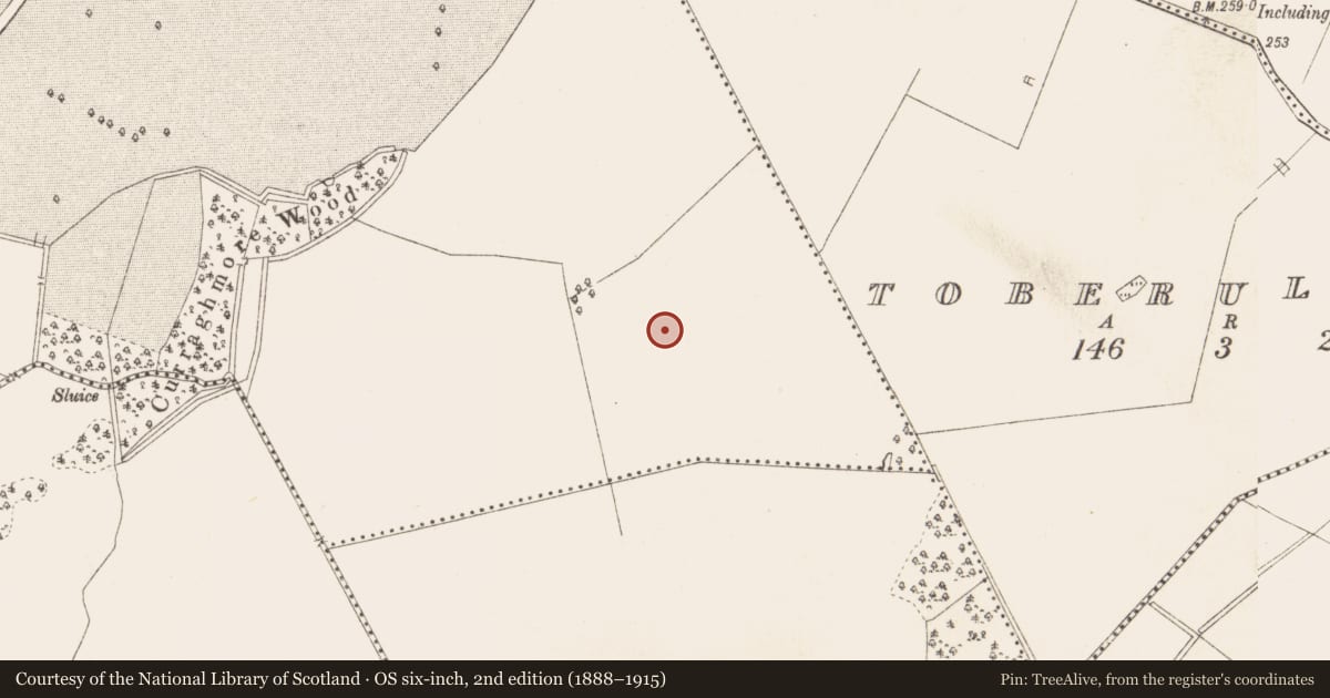 Ordnance Survey six-inch map, 2nd edition (1888–1915) covering the location of Settlement cluster, Balrath Demesne, County Meath, with a pin at the register's coordinates
