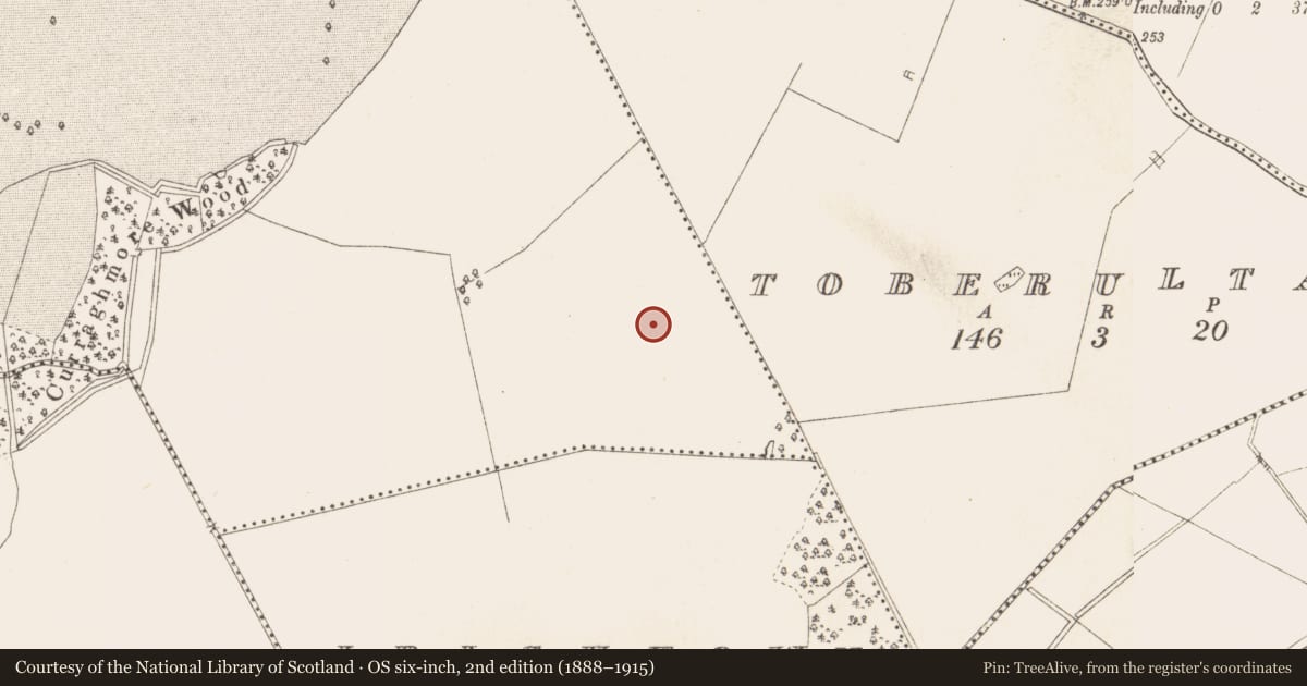 Ordnance Survey six-inch map, 2nd edition (1888–1915) covering the location of Ring-ditch, Balrath Demesne, County Meath, with a pin at the register's coordinates