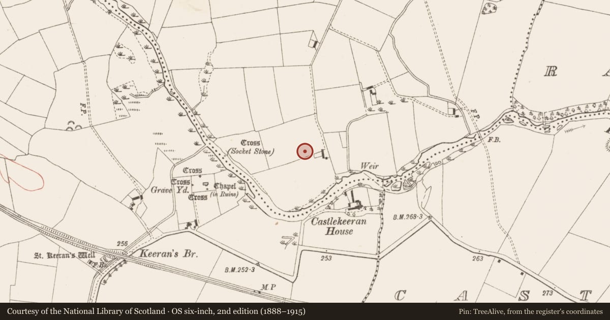 Ordnance Survey six-inch map, 2nd edition (1888–1915) covering the location of Enclosure, Meenlagh, County Meath, with a pin at the register's coordinates