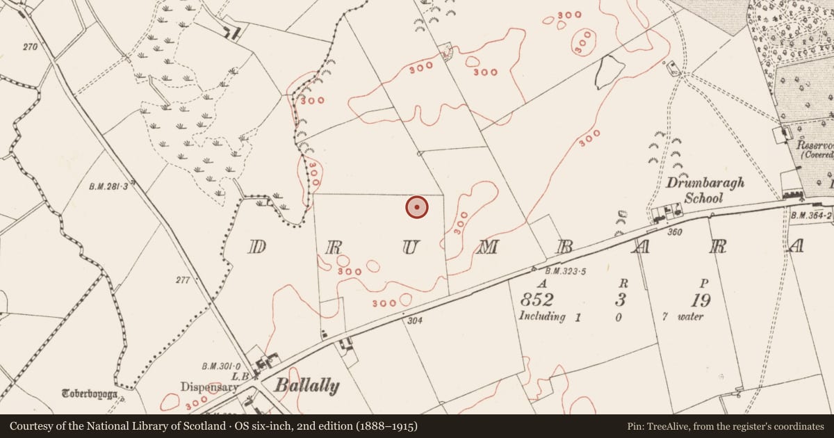 Ordnance Survey six-inch map, 2nd edition (1888–1915) covering the location of Hut site, Drumbaragh, County Meath, with a pin at the register's coordinates