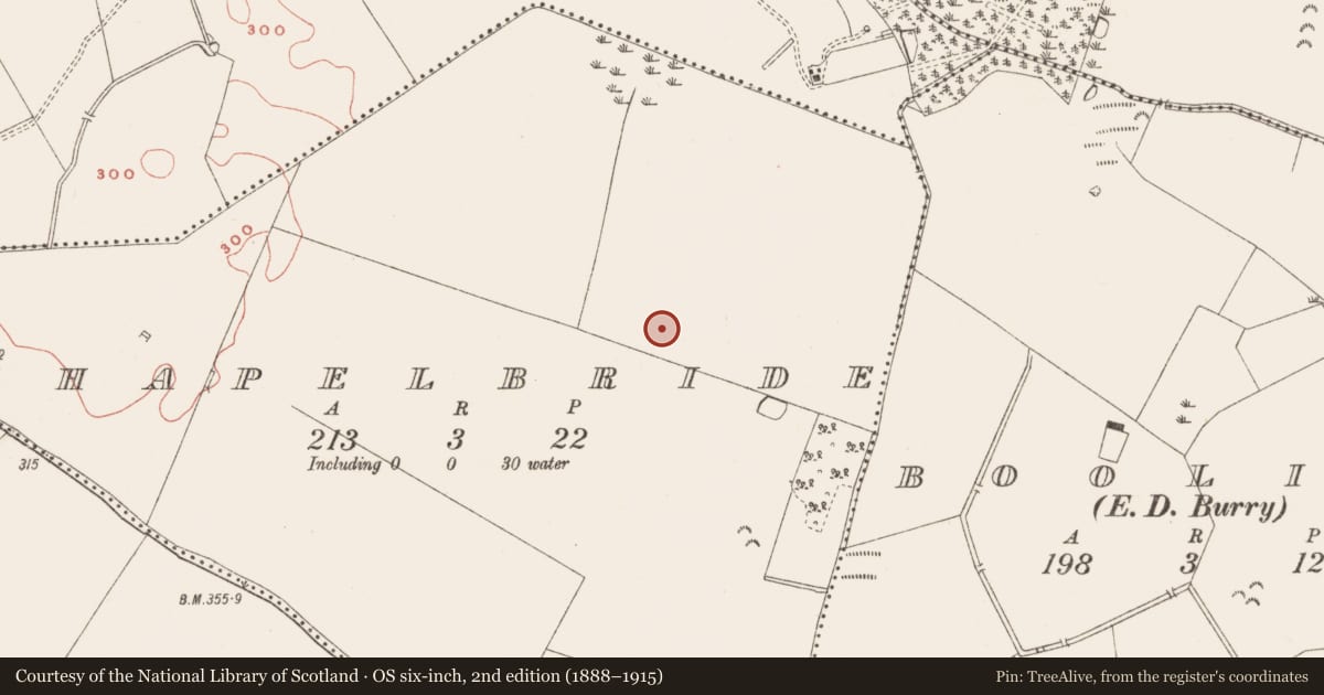 Ordnance Survey six-inch map, 2nd edition (1888–1915) covering the location of Ring-ditch, Chapelbride, County Meath, with a pin at the register's coordinates